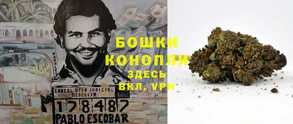 ПСИЛОЦИБИНОВЫЕ ГРИБЫ Алексин