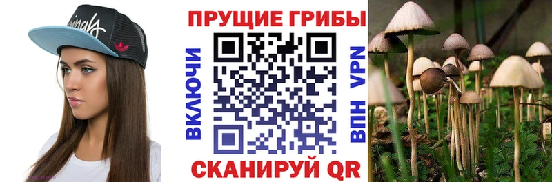 наркотики  Анапа  даркнет клад  Псилоцибиновые грибы Cubensis 